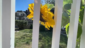 Et hvidt hegn med en gul blomst i forgrunden og et hus i baggrunden.