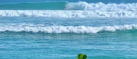 海灘