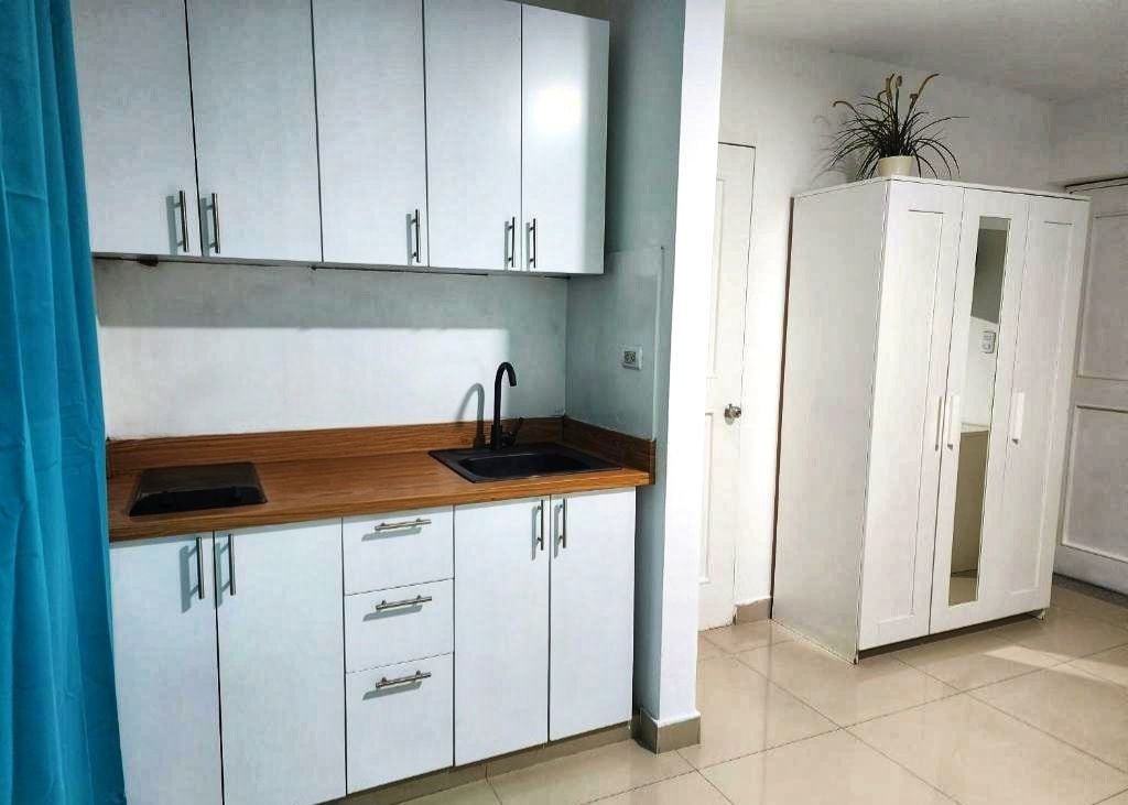 Una cucina con mobili bianchi, un piano di lavoro in legno, un lavello e una pianta in vaso.