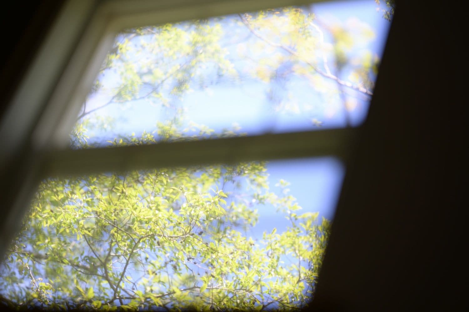 Une lucarne donnant sur les arbres.