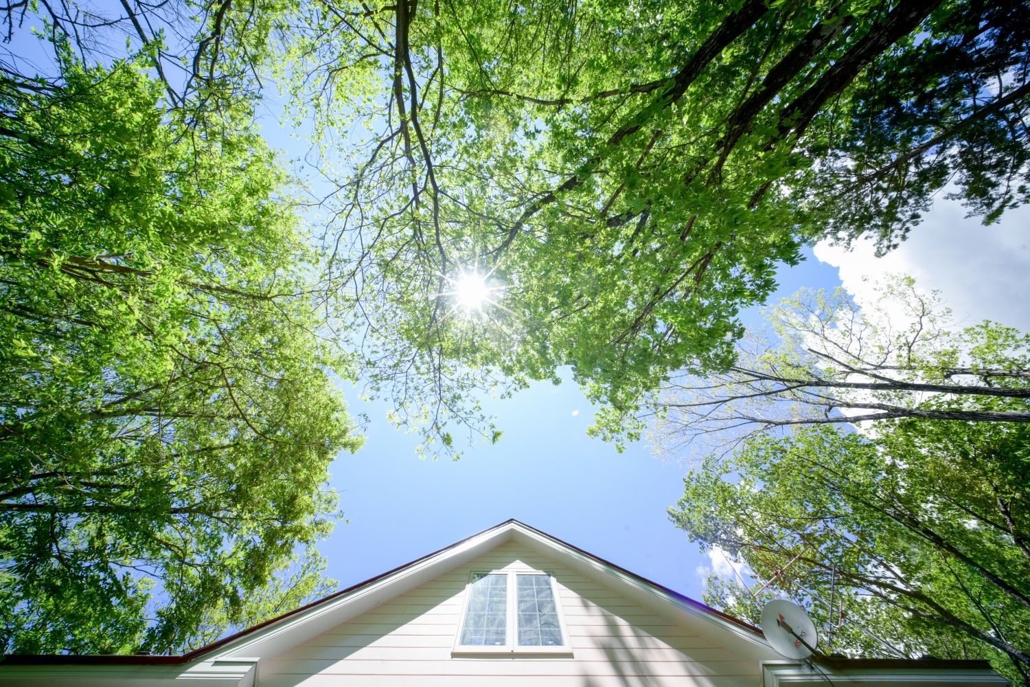 A house with a gabled roof and a visible window.