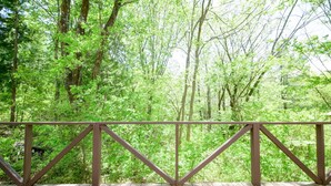 A wooden deck with a metal railing overlooking a dense forest. - Yatsugatake Angel AG1 (Hokuto)