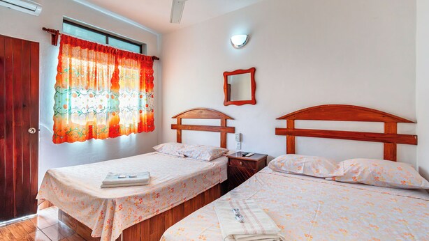 Una habitación de hotel con dos camas individuales, cabecera de madera, mesita de noche y un espejo, con una ventana y cortinas.