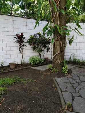 A garden with a variety of plants, a tree, and a white brick wall.