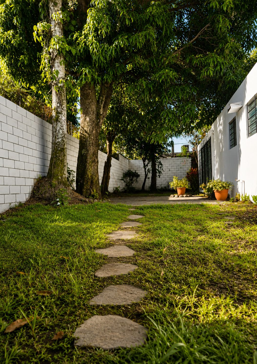 A pathway leading through a garden with a white wall on one side and a building on the other.
