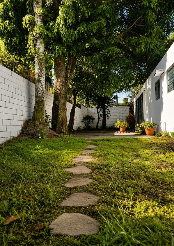 A pathway leading through a garden with a white wall on one side and a building on the other.