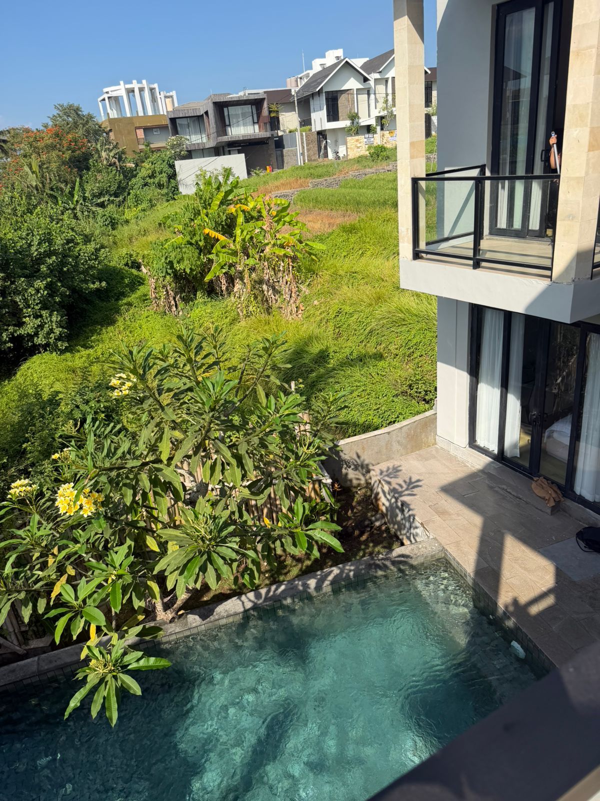 Un barrio residencial con piscina, abundante vegetación y casas modernas.