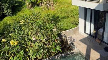 Un barrio residencial con piscina, abundante vegetación y casas modernas.