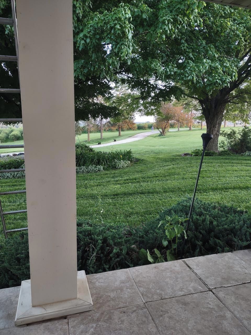 Une vue d’un jardin bien entretenu, avec un chemin, un grand arbre et un lampadaire.