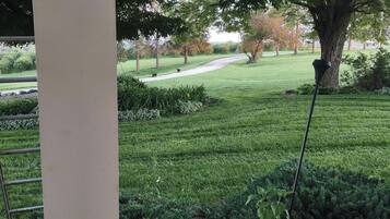 Une vue d’un jardin bien entretenu, avec un chemin, un grand arbre et un lampadaire.