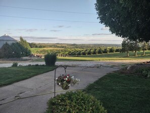 Un camino de entrada residencial con una cesta de flores colgante, un árbol grande y una vista distante de un campo y un silo.