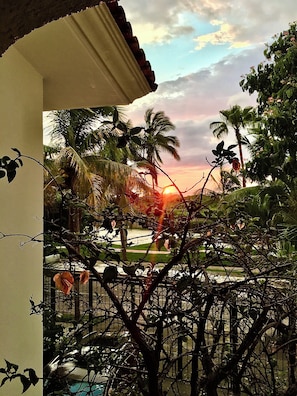 A view of a pool area with palm trees and a sunset in the background.