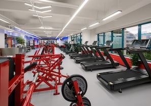 Gimnasium