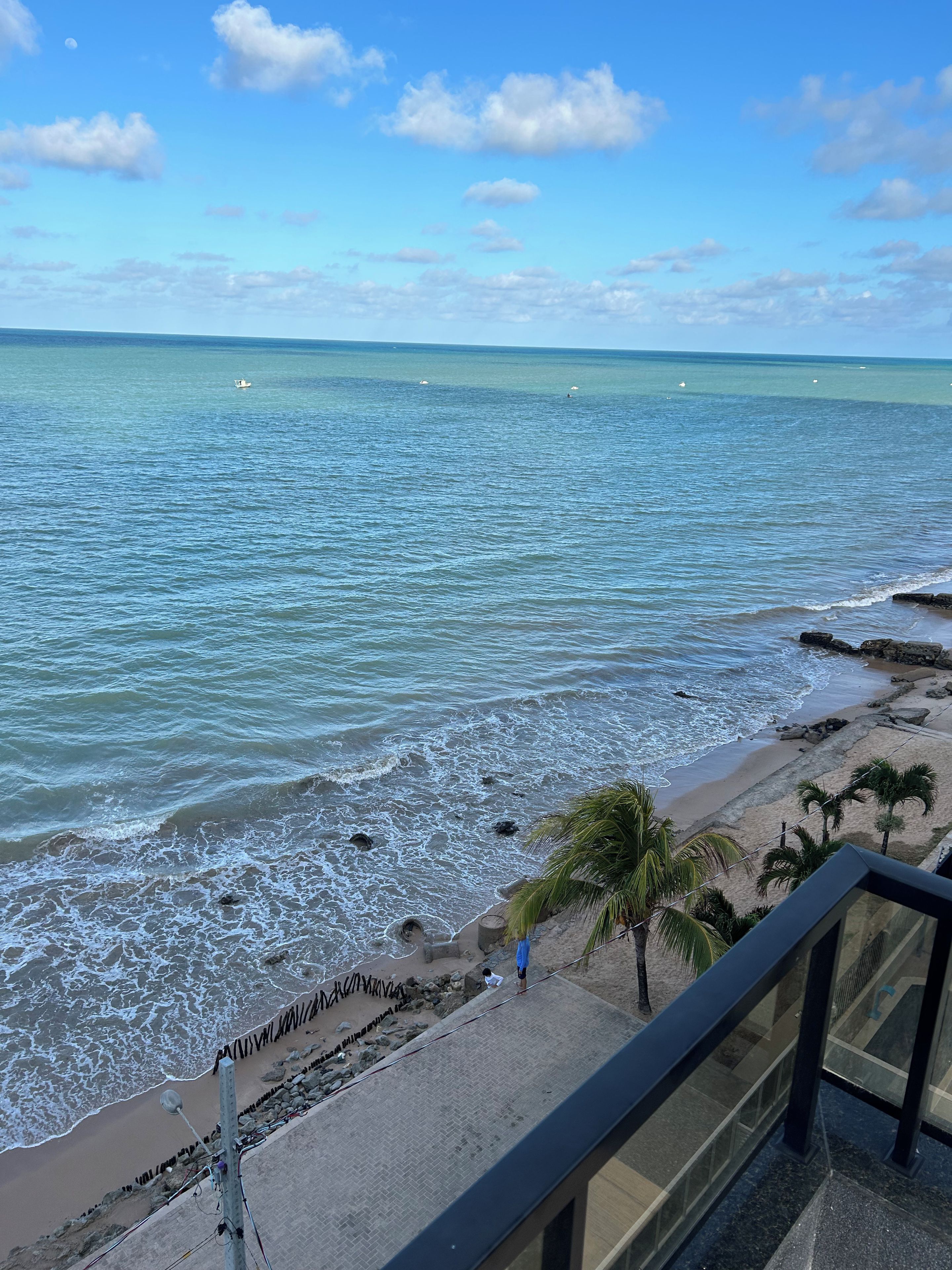 A coastal view from a balcony overlooking a beach with waves, a palm tree, and a rocky shoreline.