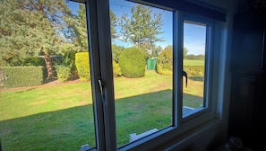 A view through a window of a well-maintained lawn, a neatly trimmed hedge, and a green door.