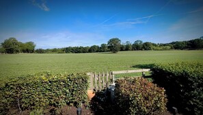 A field with a wooden fence and a hedge in the foreground.