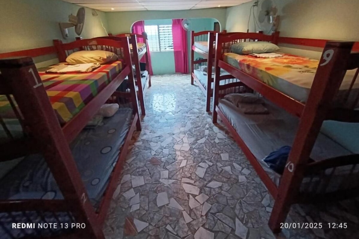 Basic Shared Dormitory | Free WiFi