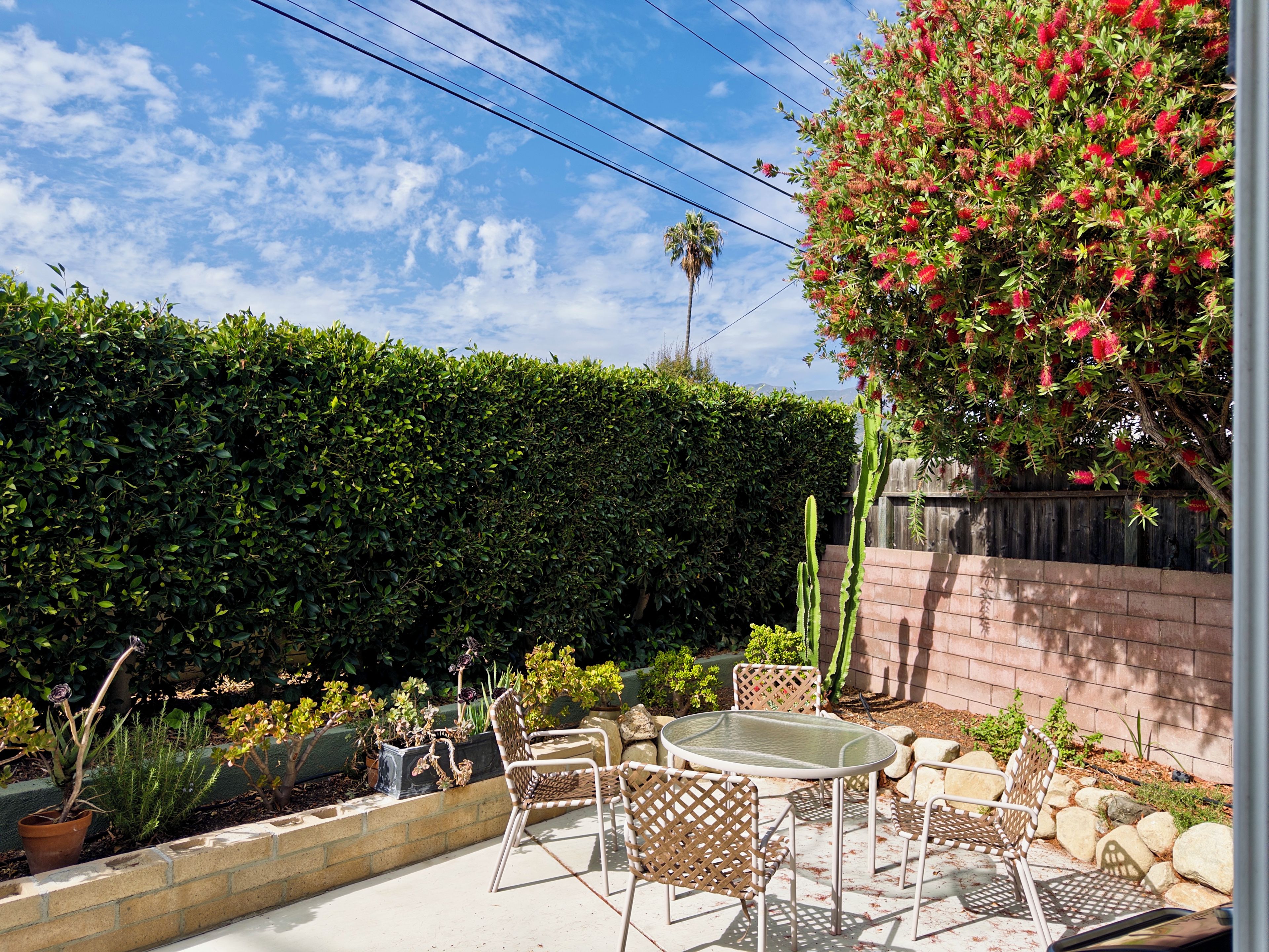 A patio area with a glass table and metal chairs, surrounded by a variety of potted plants and a cactus.