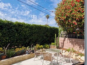 Un patio con una mesa de vidrio y sillas metálicas, rodeado de diversas plantas en macetas y un cactus.