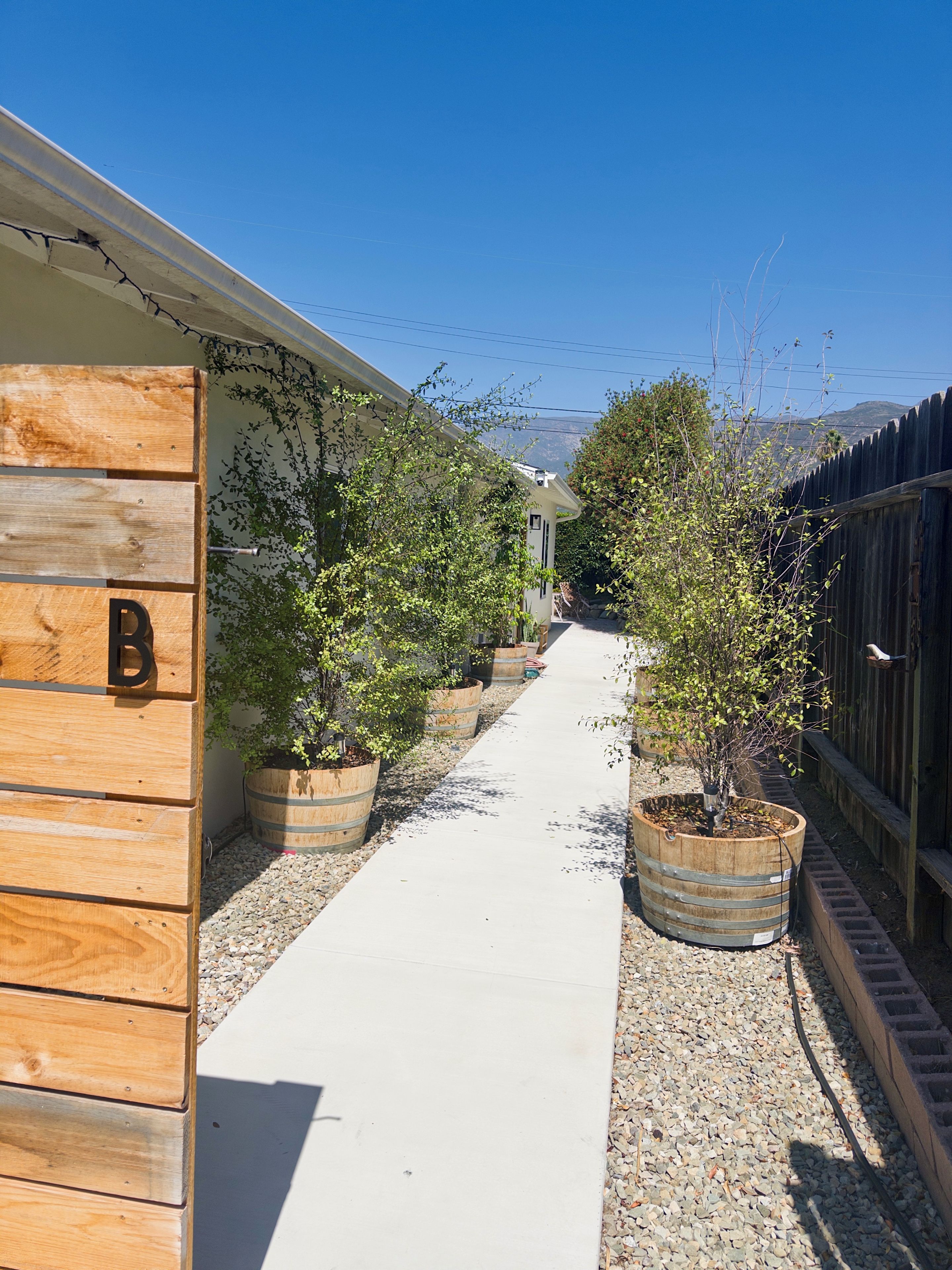 Un sendero bordeado por estructuras de madera y plantas en macetas, que lleva a un edificio con una puerta marcada con una letra.