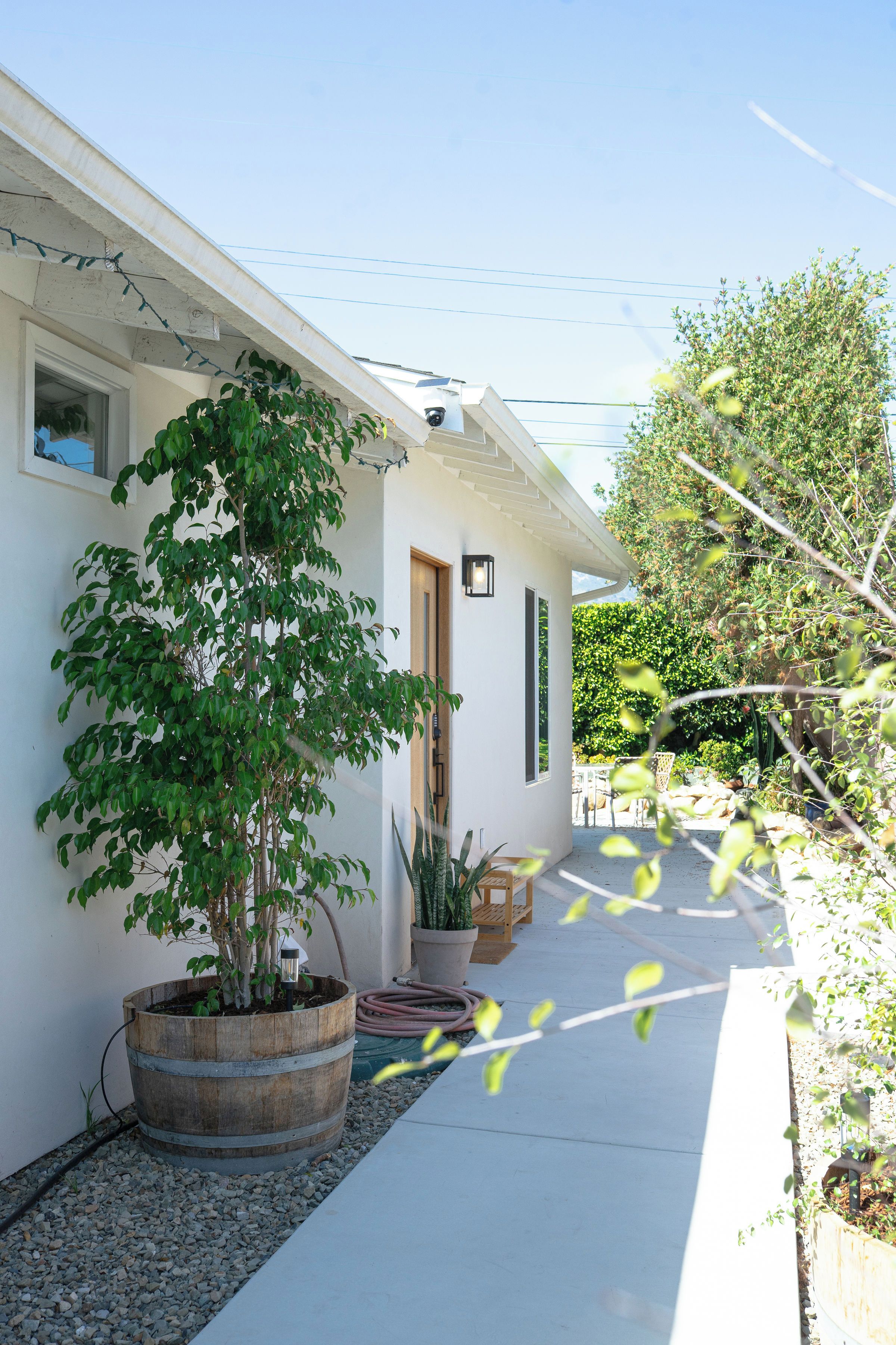 Una casa de exterior blanco, una puerta de madera y una planta en maceta en primer plano.