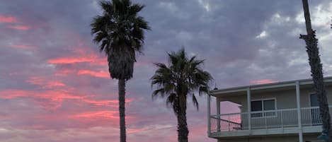 A beachfront building with a balcony overlooking the ocean, palm trees, and a sunset sky.