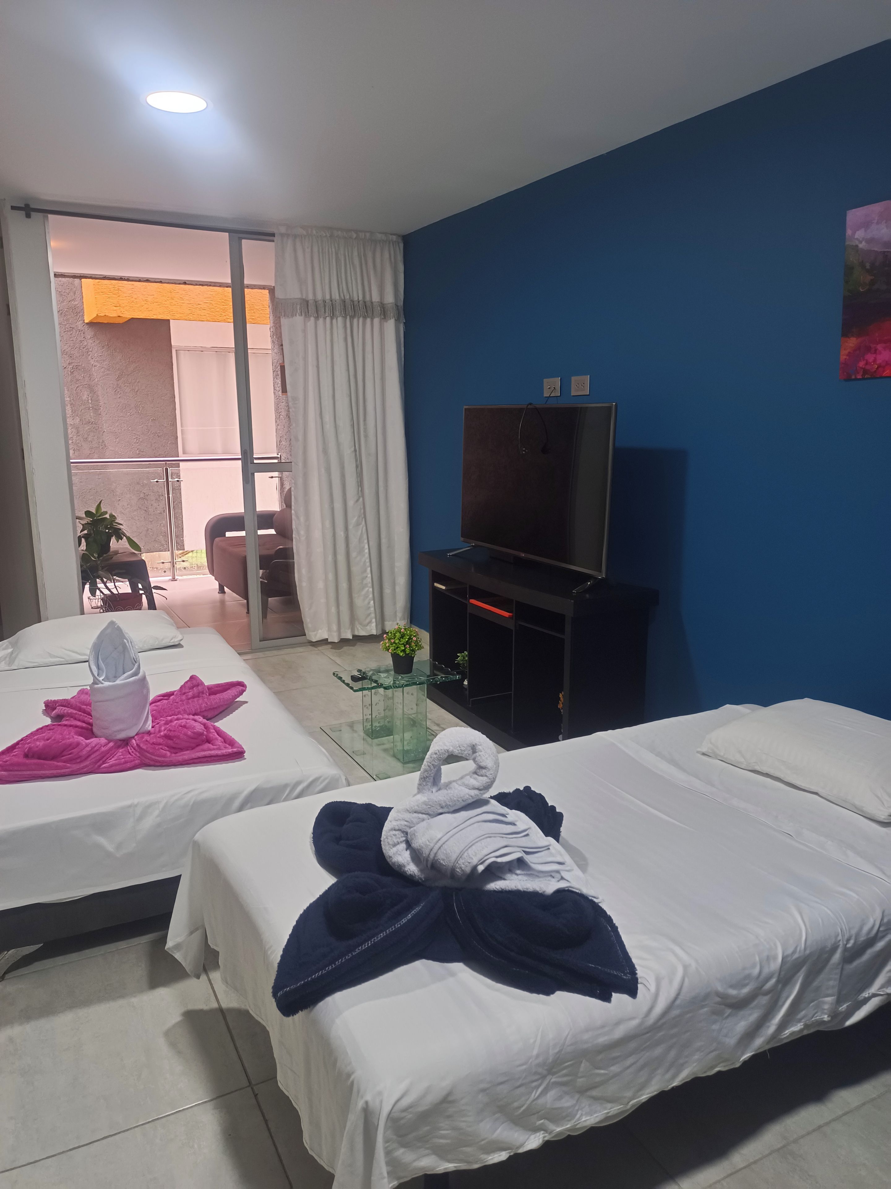 A hotel room with two beds, a TV, a balcony with a view, and a small table with a plant.