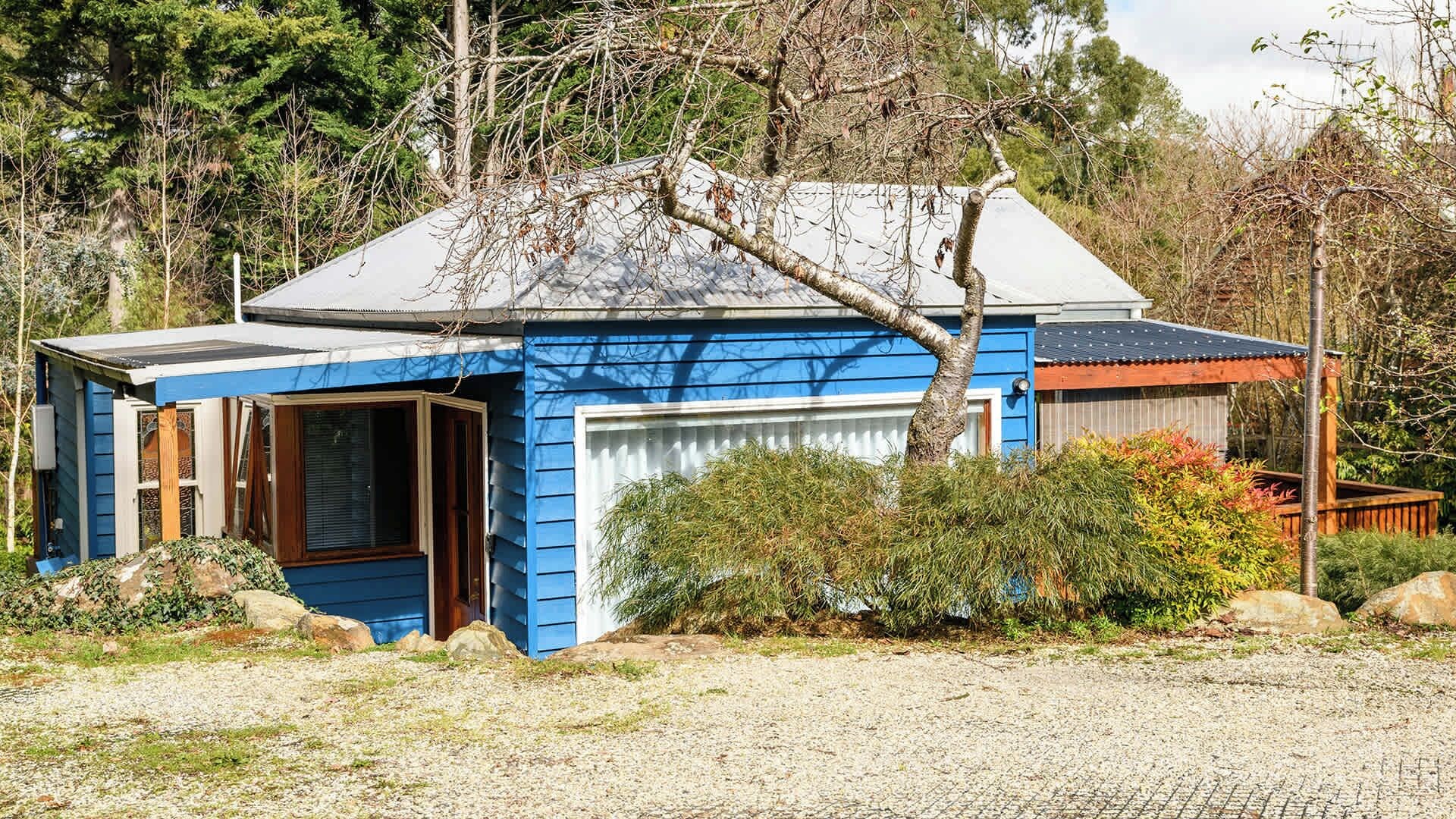 Une maison bleue avec un garage, entourée d’arbres et d’arbustes.