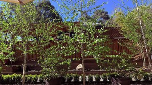 A garden with various potted plants and a wooden fence. - Kingsleigh Daylesford (Daylesford)