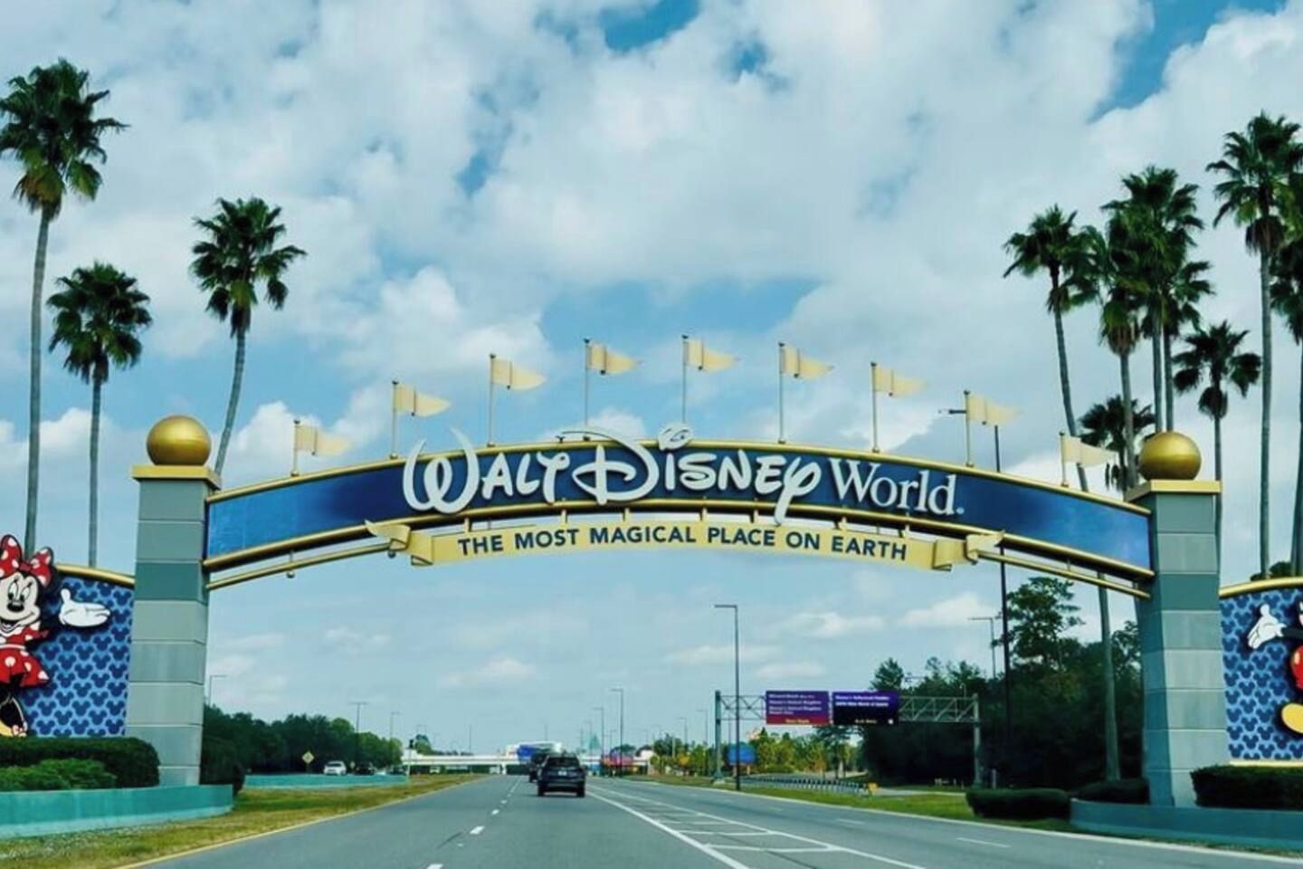 Una carretera que conduce a Walt Disney World, con palmeras y cielo despejado.