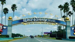 Una carretera que conduce a Walt Disney World, con palmeras y cielo despejado.