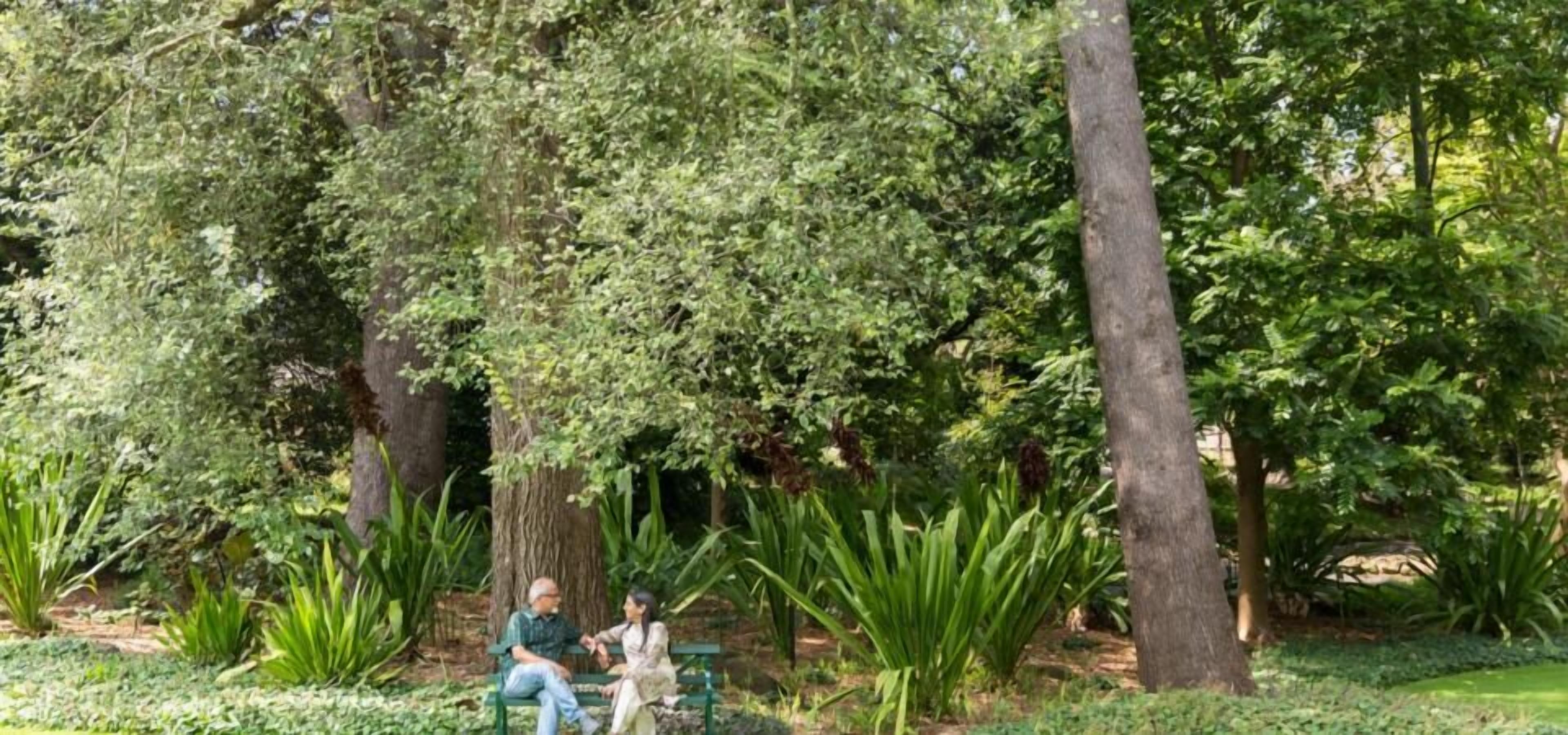 Um parque com duas pessoas sentadas num banco, rodeado por árvores e vegetação.