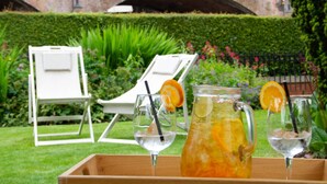 Un jardin aménagé avec un plateau de boissons et deux chaises longues blanches.