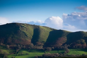 A hilly landscape with green fields and trees.