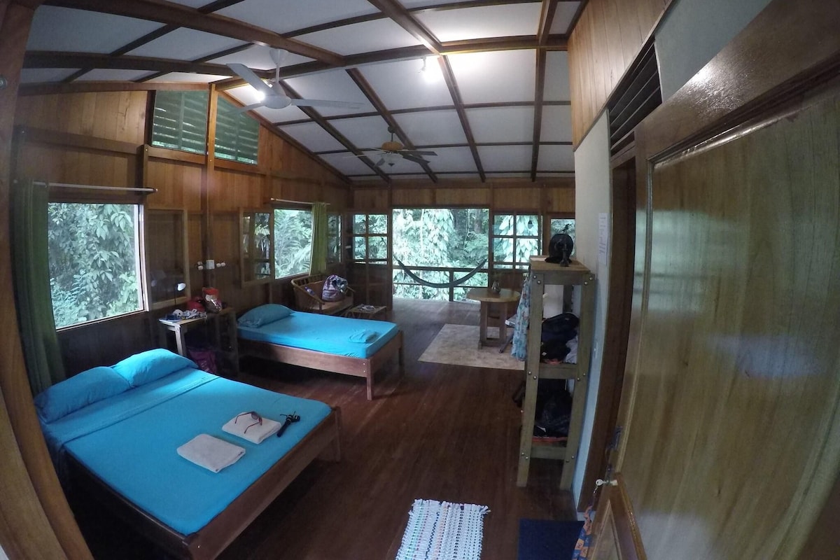 A room with two beds, a ceiling fan, and large windows.