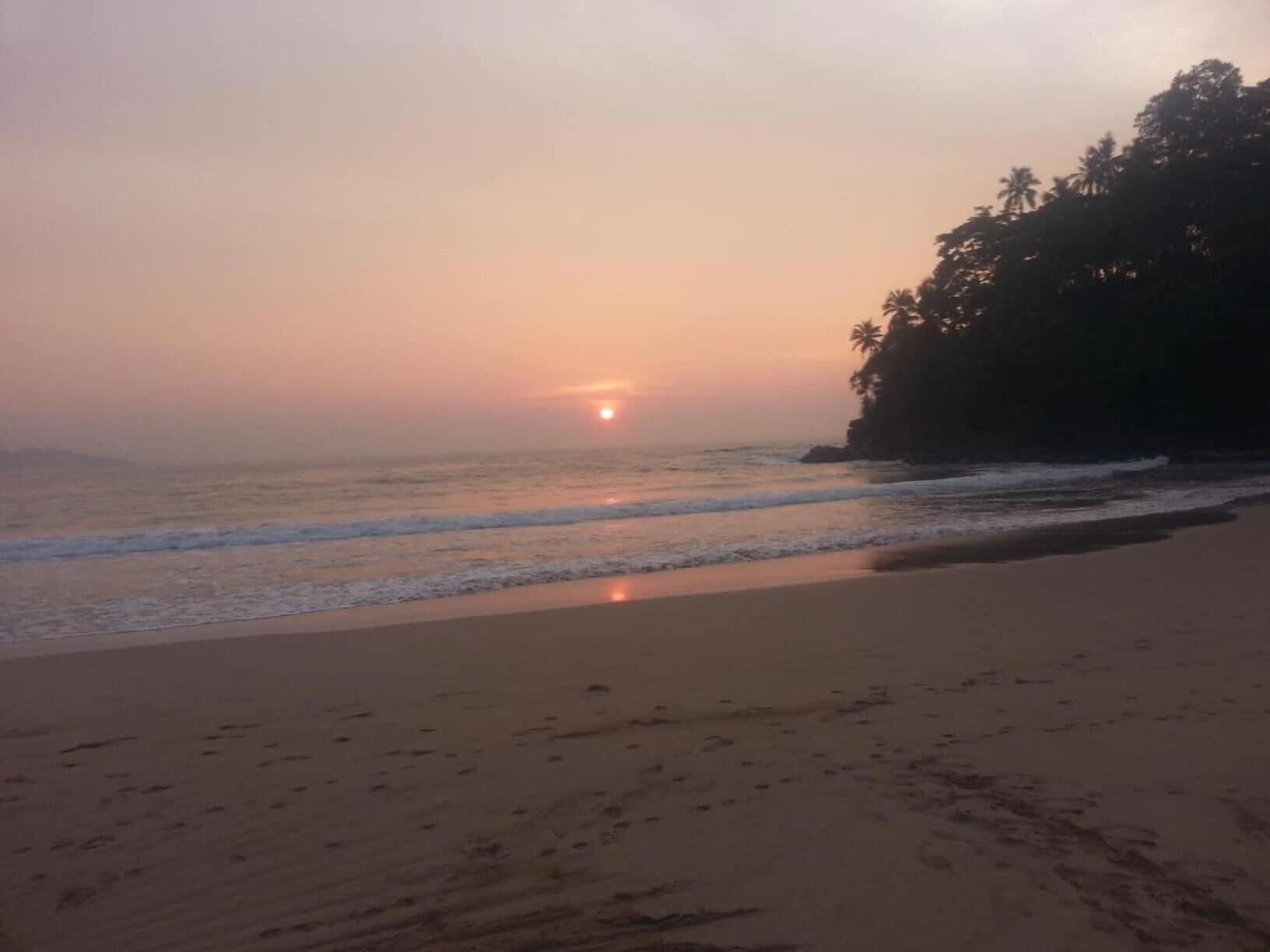 A beach with a sunset, waves, and a forested area.