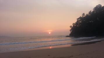 A beach with a sunset, waves, and a forested area.