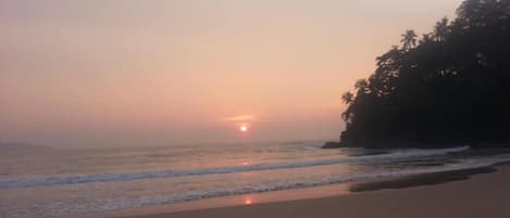 A beach with a sunset, waves, and a forested area.
