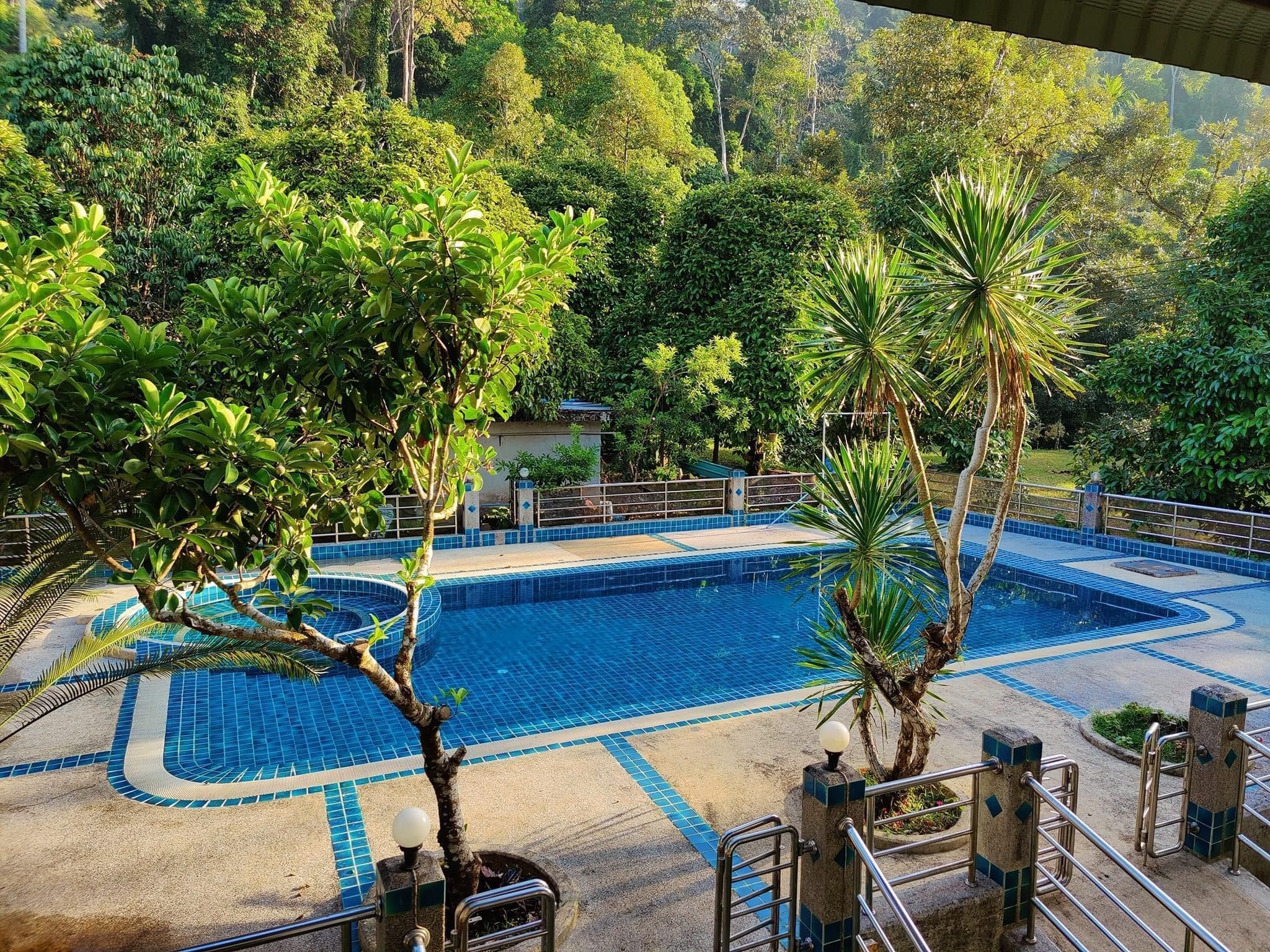 A swimming pool with a tiled deck, surrounded by lush greenery and trees.