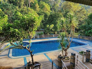 Una piscina con borde de baldosas, rodeada de vegetación exuberante y árboles.