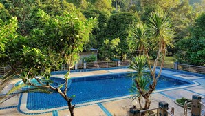 Una piscina con bordo piastrellato, immersa nel verde e circondata da alberi.