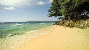 A sandy beach with clear water, a rocky outcrop, and dense foliage.