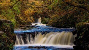 Un cascada rodeada de follaje otoñal.