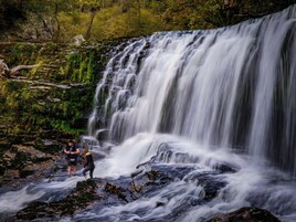 Una cascada con un primer plano rocoso y follaje denso al fondo.