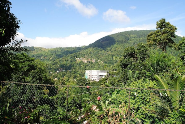 Room - Relaxed Style Of Stay (Kandalama)