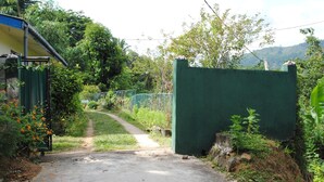 Uma entrada com portão e um caminho de concreto que serpenteia por uma área verde exuberante.