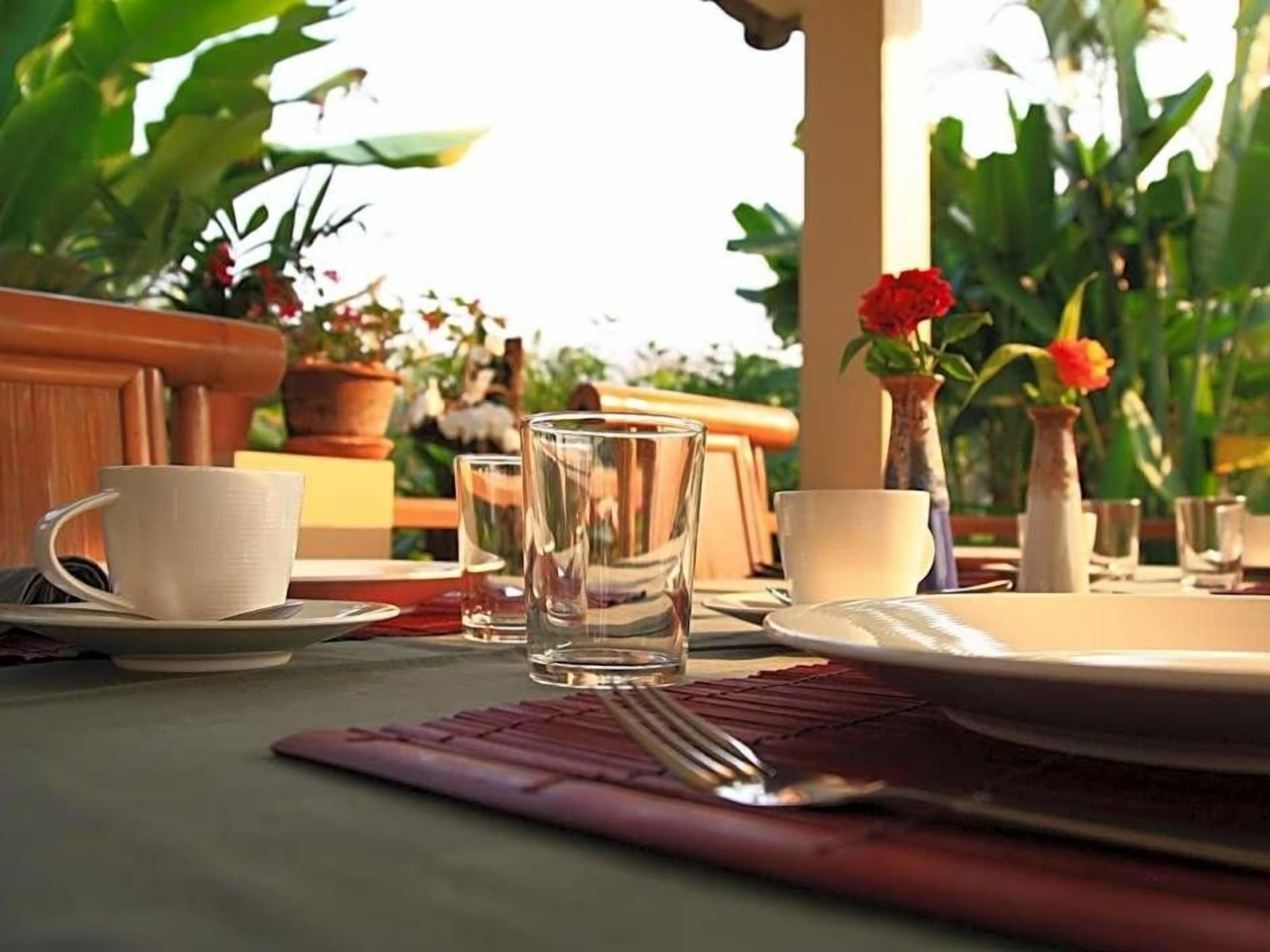 A table set for dining with a cup, glass, and plate, surrounded by potted plants and flowers.