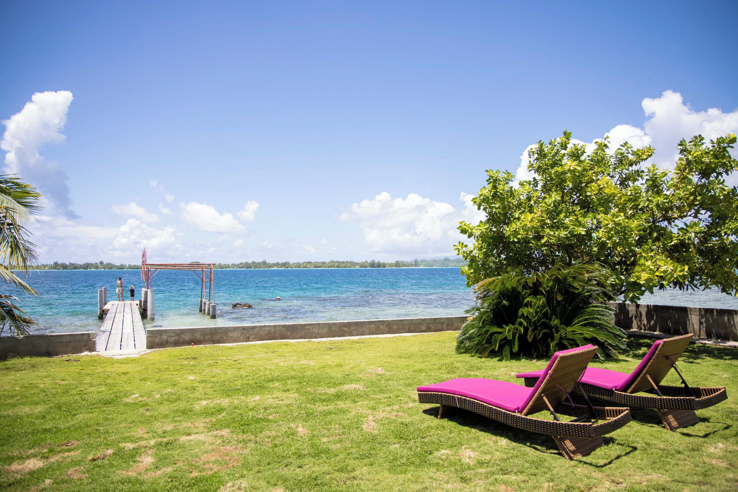 A grassy area with two lounge chairs and a tree, overlooking a body of water with a dock and a pier.