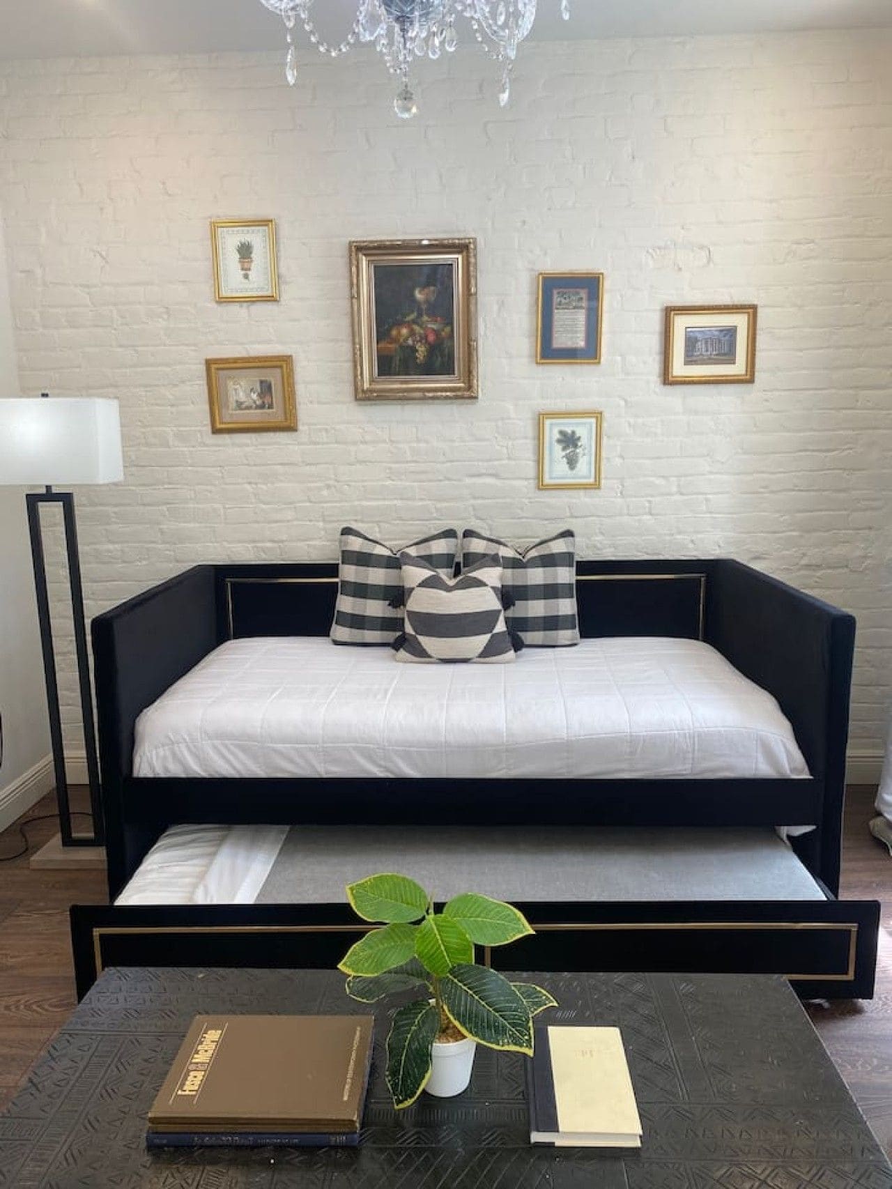 A black sofa with a white cushion, a small potted plant, and a few books on a coffee table.