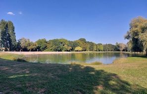 En park med en sø, grønne områder og træer.